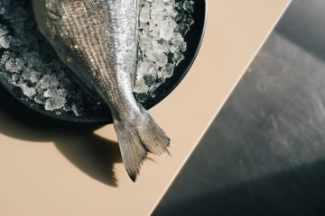Čerstvá mořská ryba na ledu, základ rybích specialit Marina Ristorante.