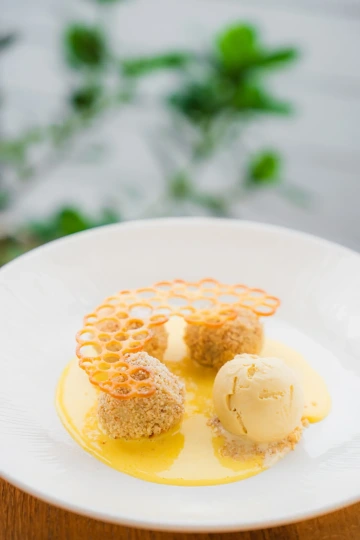 Dessert with honeycomb and ice cream on a plate.