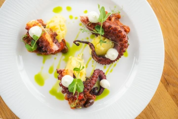 Grilled octopus with potato purée and herb oil.